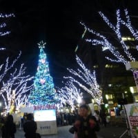 青葉公園