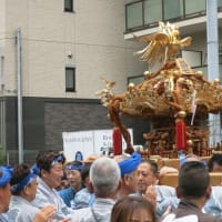築地波除神社～獅子祭り