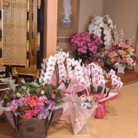 そして今　　18年目へ