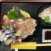 瀬戸内の魚・海鮮丼