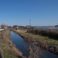 １月の寒川神社：寒川神社境内から参道を歩いてＪＲ相模線宮山駅へ　ＰＡＲＴ２