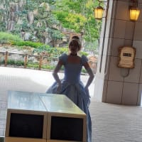 ディズニーシー旅行④