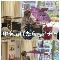 ディサービスで玉すだれ