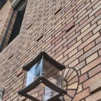 ｢霜柱と蝋梅の森｣神戸編。早くついたから