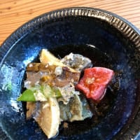 伏見十石船に乗りました