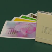 桜坂マヤーの写真カレンダー販売