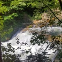 新緑の川内町