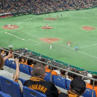 予想通り