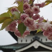 みちのく一人旅　青森県２