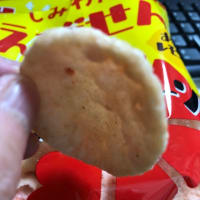 今日も雨が・・・