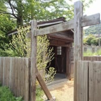 遥遥函館　谷地頭温泉