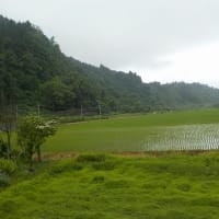 前に降ったのは何時だったかな