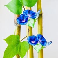 どんどん　次へ