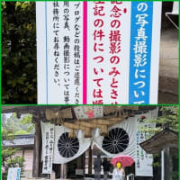 🚙和歌山に行って来ました 