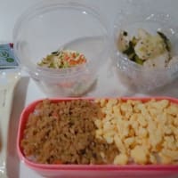 節約お弁当🥰