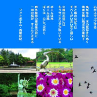 光の春
