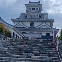 伊吹山・結婚記念日（6/5）