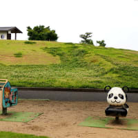 つつじヶ丘公園の紫陽花と睡蓮