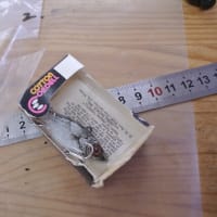 コットンコーデル デッドストック スポット 小　