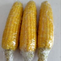 野菜を収穫しました