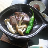 伊根港　舟屋めぐり