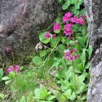 再び会える日のために（感謝）