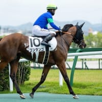 【コンタンゴ】状態良好、飼葉を食べて馬体も維持！