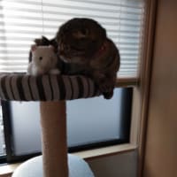 落ち着く!