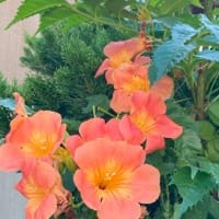 エネルギーと環境 296