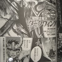 聖闘士星矢 Next Dimension 冥王神話 98 コキュートスの記憶