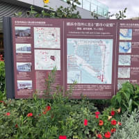 横浜散歩、その１、桜木町から横浜市役所