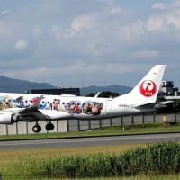 伊丹空港を発着する飛行機