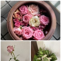 貰いました。