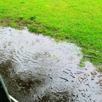 水面揺れ 土砂降り見せる 水溜まり ゴルフにならず 途中リタイヤ