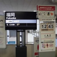 英国10日間 ㉒『 大阪（伊丹）空港 ⇒ 福岡空港 』 2024年