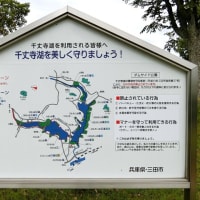 今日は兵庫県三田市の「青野ダム・千丈寺湖」へ行きました