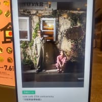 じゃない方の小泉さん