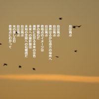 鳥は飛ぶ