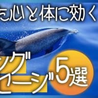 【繰り返し聴いてほしい】疲れた心とからだに効くヒーリングメッセージ【病気】【癒し】【健康】　 HSメディア