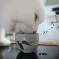 一杯飲み屋
