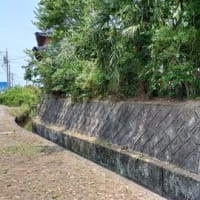 草取り