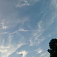 亡き叔父に頼まれて