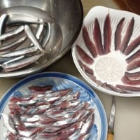 鰯