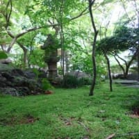 新緑の鎌倉⑥「覚園寺」、（２０２４春）。