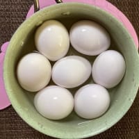 ゆで卵で食べるポテトサラダカレー