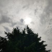 21082日目の空