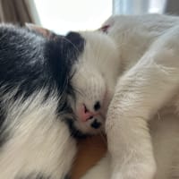 ブログお引っ越し完了しました。