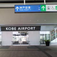 今週も飛行機です