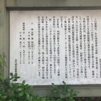 曉英涙の引退結婚式
