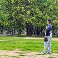 シラチャ・マリンズ活動報告 (2025年5月25日）